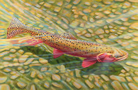 In fact, because the art of fly fishing was refined into its present form by medieval english anglers who wanted a means of catching their native brown trout in their local chalk streams, fly fishing was originally viewed a stream angler's sport. Strawberry Cutty Iv Fly Fishing Art Fly Fishing Prints Ad Maddox Artist