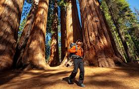 Aug 08, 2016 · the first drawing will take place on tuesday, aug. Things To Do In Fortuna Ca Super 8 By Wyndham