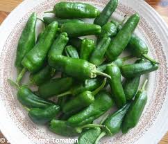 Pimentos De Padron Chili Scharf Chili Paprika Samen Irinas Tomaten