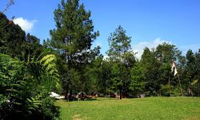 tempat wisata di bogor untuk family gathering dan outbound tempat wisata di bogor untuk family