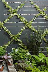An Insanely Chic And Simple Garden Trellis Diy Diy Garden Trellis Diy Trellis Backyard Landscaping