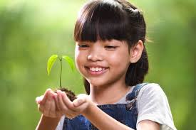 1,200+ Hope Human Hand Planting Tree Stock Photos, Pictures & Royalty-Free  Images