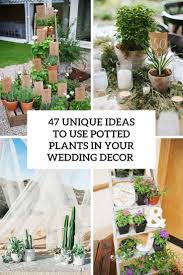 See more ideas about cactus centerpiece, western theme party, cactus. How To Use Potted Plants In Your Wedding Decor 47 Unique Ideas Weddingomania
