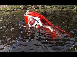 sinking sea doo rxp 215 youtube
