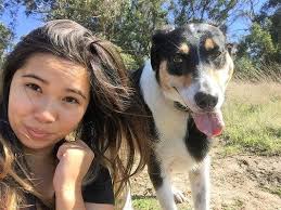 James Milliman Painting Inc, 1967 Keystone Dr, El Dorado Hills, CA 95762,  US