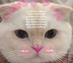 The shift in emphasis toward wholesomeness isn't just affecting memes. 18 Wholesome Memes To Start The Week Off Right Cute Love Memes Cute Cat Memes Cute Memes