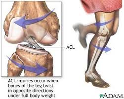 Soccer Performance Acl Injury Prevention Injury Prevention Cruciate Ligament Muscle Diseases