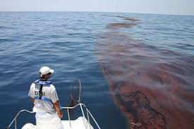 If you are included in this settlement, you could receive money if you were harmed by the oil spill in one or more of the following categories: What S The Value Of Lost Recreation Days From The Deepwater Horizon Oil Spill