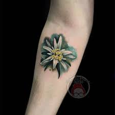 Charli Faure Tattoo On Instagram Had Fun With This Edelweiss Flower Tattoo F Charli Edelweiss Faure Tattoos Edelweiss Flower Tattoo Edelweiss Tattoo