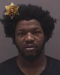 Investigation from March traffic stop alleges Rochester man used nephew's  name