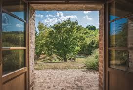 How To Keep Bugs Away From The Door At Night Naturally Bugwiz