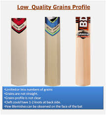 Complete Guide On Cricket Bat Grains Concepts Khelmart Org