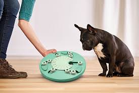 Maybe you would like to learn more about one of these? Nina Ottosson Dog Worker Toy Green Composite