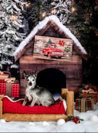 The puppy mill rescue team consists mainly of rescues in new york, pennsylvania, and ohio. Akron Rescue Team Home Facebook