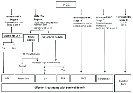 Unfortunately, it is not possible for most patients to have. Barcelona Clinic Liver Cancer Group Bclc Algorithm For Staging And Download Scientific Diagram