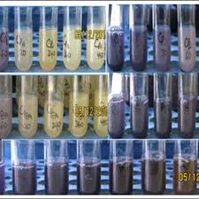 Image result for Centaurea praecox