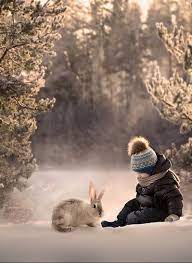 Photography By Elena Shumilova Animals Cute Animals Pets