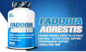 Image result for Fadogia