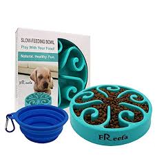 Which dog slow feeder puzzle shape is best? Best Slow Feeder Dog Bowl Oodle Life