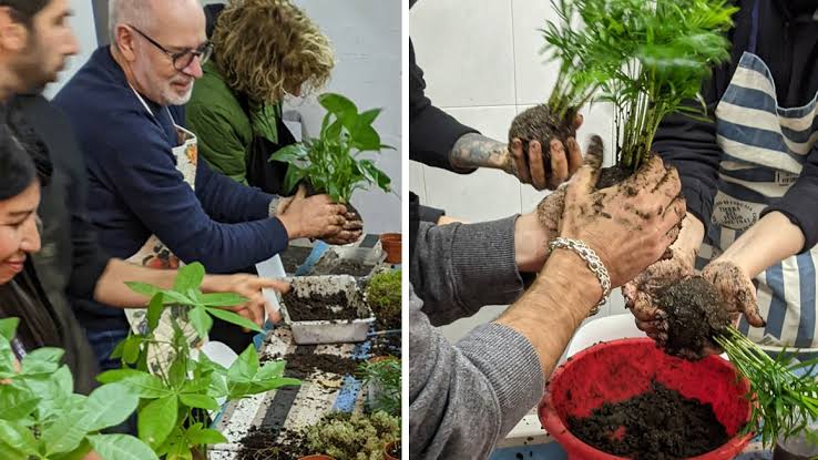 Taller de kokedamas - Taller Balam - Barcelona