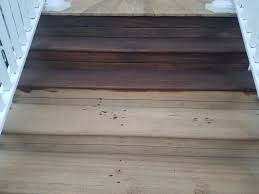 Armstrong Clark Wood Stain Review Best Deck Stain Reviews
