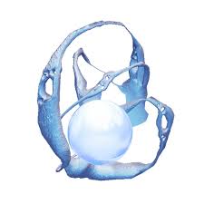 Is A 1Hr 29M Survival Supposed To Give U This Much Void Traces? : R/Warframe