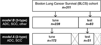 You might have a build up of fluid between the chest wall and the lung called a pleural effusion. Deep Learning Classification Of Lung Cancer Histology Using Ct Images Scientific Reports