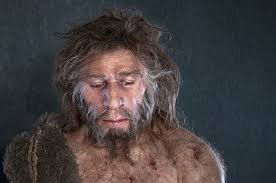 Neandertaler — neandertaler, ein 1856 in der im devonkalk des neandertals bei düsseldorf befindlichen sogen. Wann Ist Der Neandertaler Ausgestorben Nzz