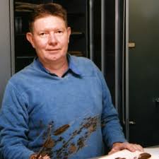 Image result for Stenostelma capense