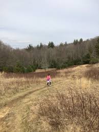 There are several places that you will cross the creek. Boone Fork Trail Hiking Trail Blowing Rock North Carolina