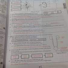 Science process skills include observing qualities, measuring quantities, sorting/classifying, inferring. Science Process Skills Form 3 Teacher S Version Textbooks On Carousell