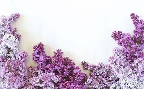 See more ideas about purple aesthetic, dark purple aesthetic, purple wallpaper iphone. 1001 Ideas For Super Cool Desktop Backgrounds