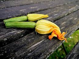 Le zucchine sono un ortaggio molto amato dai bambini e anche dai grandi. Come Cucinare Le Zucchine Misya Info