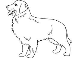 Weitere ideen zu meerschweinchen, niedliche meerschweinchen, tiere. Kostenlose Malvorlagen Haustiere Coloring And Malvorlagan