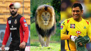 Royal challengers bangalore beat chennai super kings by 37 runs csk vs rcb tamil,csk vs. Ipl In Uae Viral Post Csk Hilariously Trolls Rcb For Comparing Virat Kohli With A Lion Cricket News