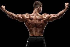 Brawn A Minimalist Training Routine Old School Trainer
