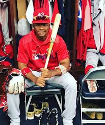 An introduction to the Rochester Red Wings