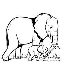 Mari mewarnai gambar induk anak gajah lucu loh. Mewarnai Gambar Gajah Kreasi Warna