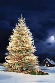 фильмы про новый год и рождество зарубежные смотреть онлайн Filmy Pro Novyj God I Rozhdestvo Smotret Onlajn Besplatno Luchshie Kino Spisok