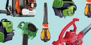 We will explain how to start a leaf. 6 Best Leaf Blowers To Buy Of 2021 Leaf Blower Reviews