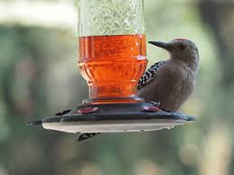 The quickest effective means of temporarily, but instantly, getting the woodpecker to stop his incessant and damaging pecking on your house. Diy Q A Home Improvement Database And Library