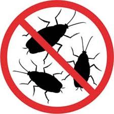 When the insects groom themselves, they then ingest the poison, which causes death three to ten days later of starvation and dehydration. How To Get Rid Of Cockroaches Forever Dengarden