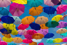 Technofunc Insurance Domain