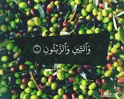 و التين و الزيتون Grapes Fruit Islamic Pictures