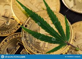 In fact, $1,000 in bitcoin bought on march 23, 2020, would be worth about $8,816 today. Hanf Marihuana Blatt Auf Munzen Bitcoin Btc Cryptocurrency Stockbild Bild Von Dollar Blatt 172029033