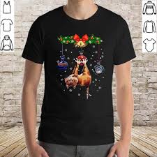 Funny Cat Christmas Shirt T Shirt Hoodie Sweater Ladie Tee Vneck Christmas Shirts Christmas Cats Funny Cats