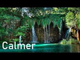 Videotuto Apaiser L Esprit Musique Douce Piano Et Nature Relaxation Apaiser Douce Esprit Musique Musique De Meditation Musique Douce Musique Calme