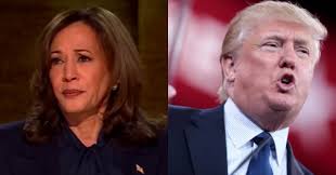 Élections américaines : pourquoi il reste encore beaucoup à faire pour  assurer la victoire de Kamala Harris sur Donald Trump