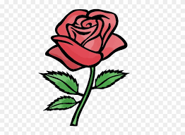 Rose Cartoon Drawing Free Download Clip Art On Png Red Rose Easy Drawing Transparent Png 554x565 929003 Pngfind This rose drawing lesson could be useful for drawing a rose on a mother's day card, a in this lesson you will learn how to draw a stylized rose with stem based on using simple curve shapes to create the petal pattern at the center of the rose. red rose easy drawing transparent png