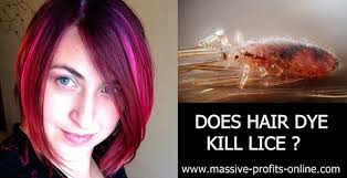 The strong chemicals in hair dye and bleach can often kill both lice and nymphs by drying them out. Does Hair Dye Kill Lice That S A Common Question With Ever Flickr